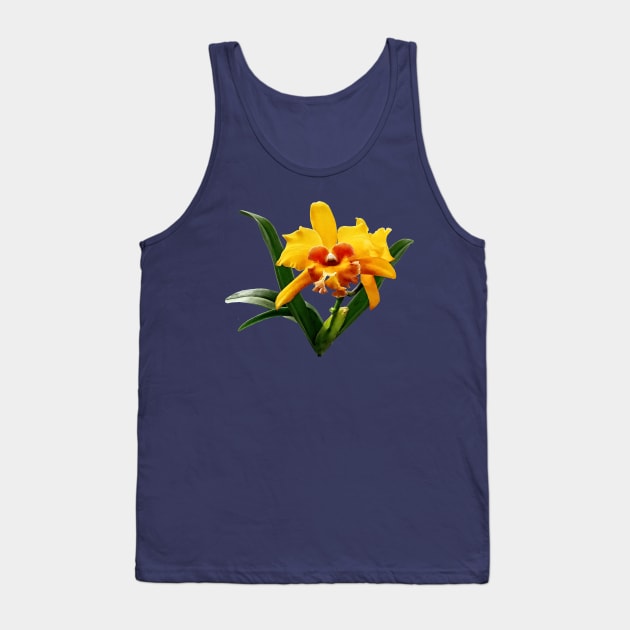 Orchids - Cattleya Orchid Orchidglade Tank Top by SusanSavad